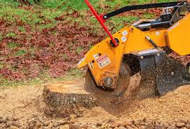 Pest Control for Lawns in Leisuretowne, NJ