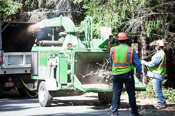 Mulching Services in Leisuretowne, NJ